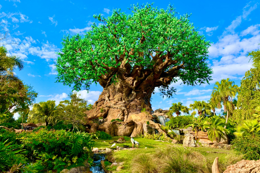 Tree of Life à Animal Kingdom à Walt Disney World