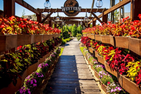 Western Camp Resort à Energylandia en Pologne